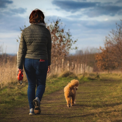 Caniwalk - Fit mit Hund