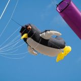 Drachenfest_2012-0025