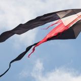 Drachenfest_2012-0042