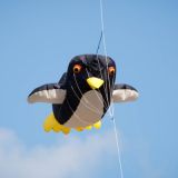 Drachenfest_2012-0115