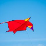 Drachenfest_2012-0116