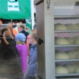 img-2228