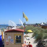 img-2391