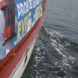 PL-Segeln-7439