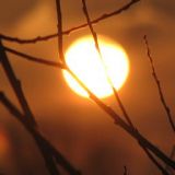 20080712_1924868993_img_0483