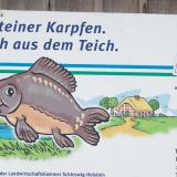 kasseteich-001