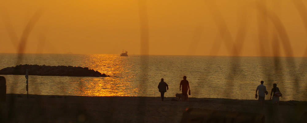 Herzlich willkommen in der Probstei!
